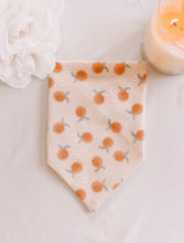 Load image into Gallery viewer, Clementines Snap-On Bandana
